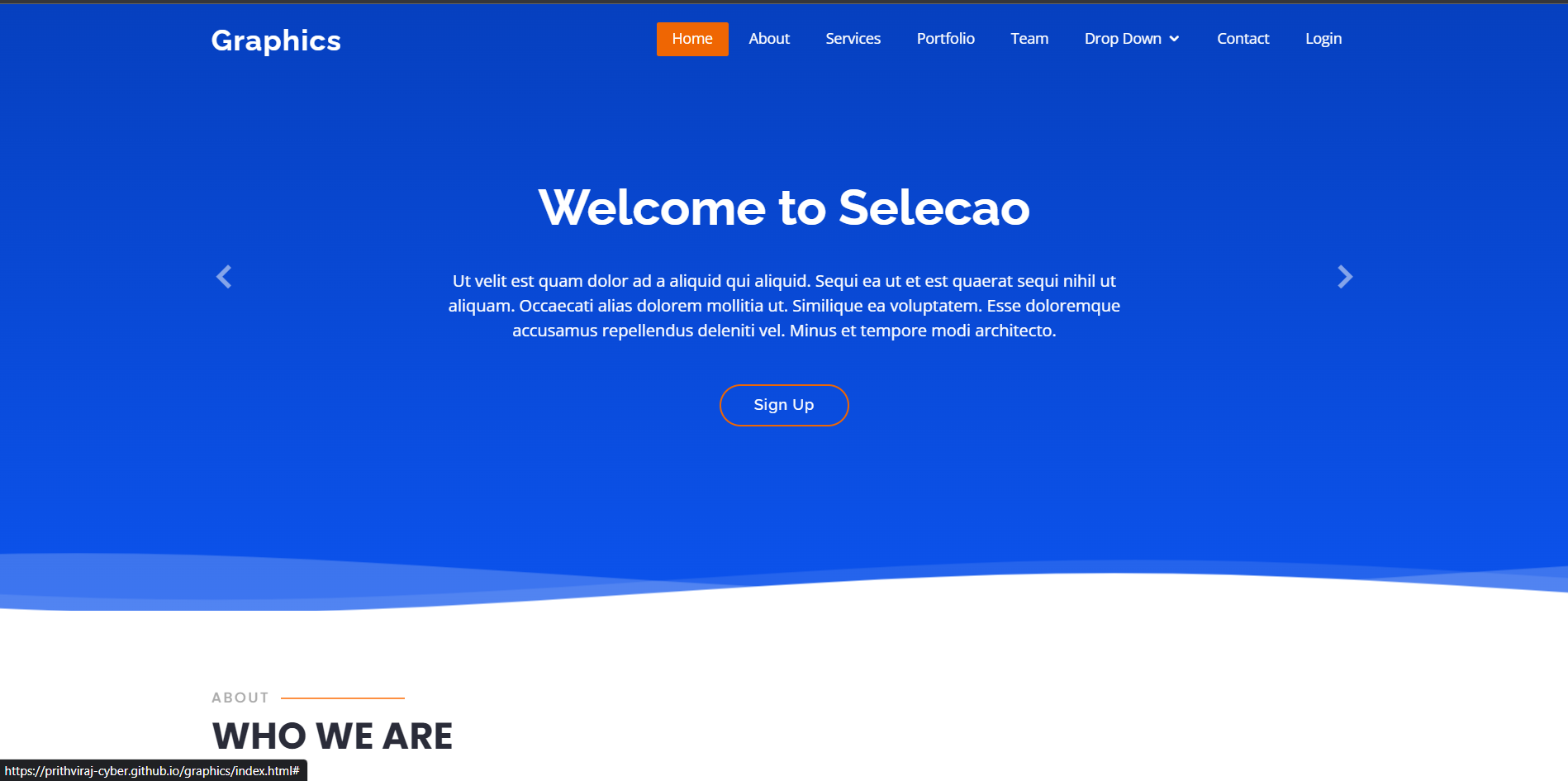 portfolio